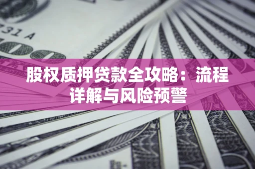 北京股权质押贷款全攻略：流程详解与风险预警