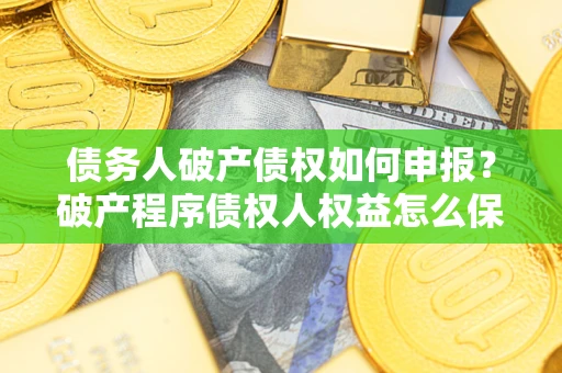 北京债务人破产债权如何申报？破产程序债权人权益怎么保障？