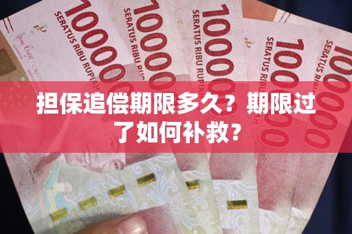 北京担保追偿期限多久？期限过了如何补救？