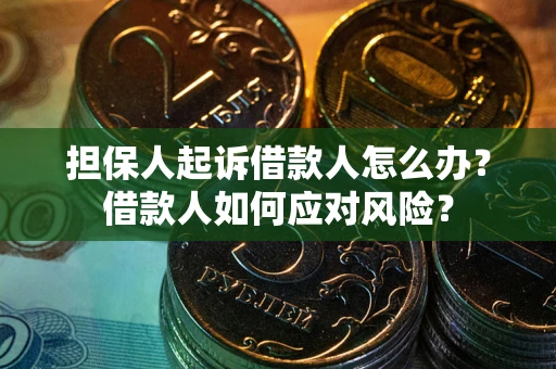 北京担保人起诉借款人怎么办？借款人如何应对风险？